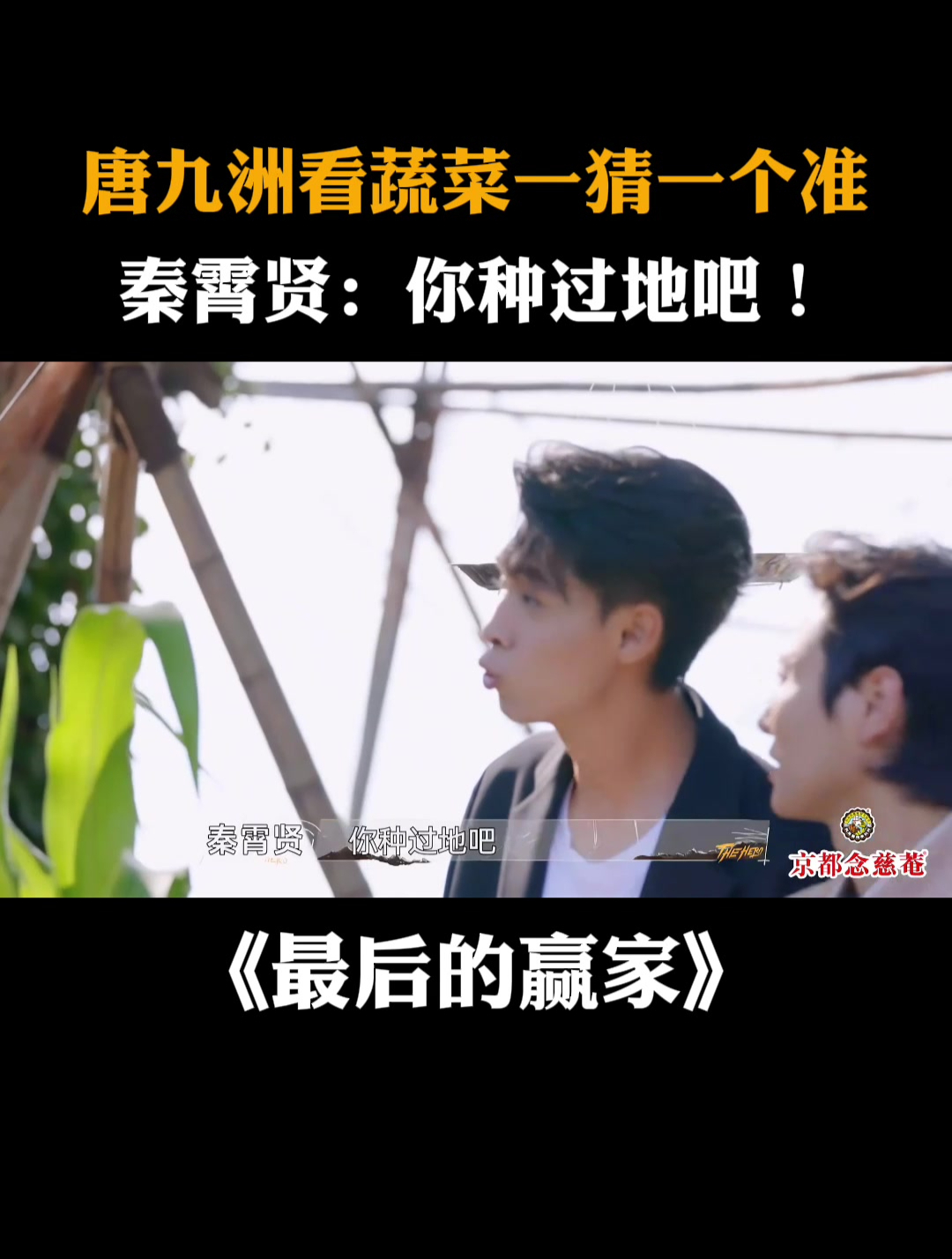 唐九洲看蔬菜一猜一个准,秦霄贤:你种过地吧!丨最后的赢家