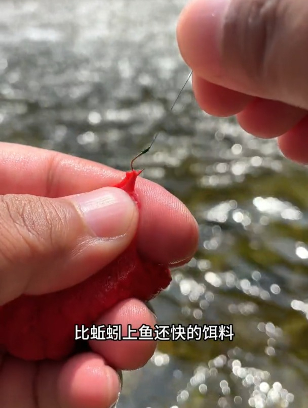 溪流钓石斑鱼,号称比蚯蚓上鱼还快的面筋饵,老钓友现场实测!