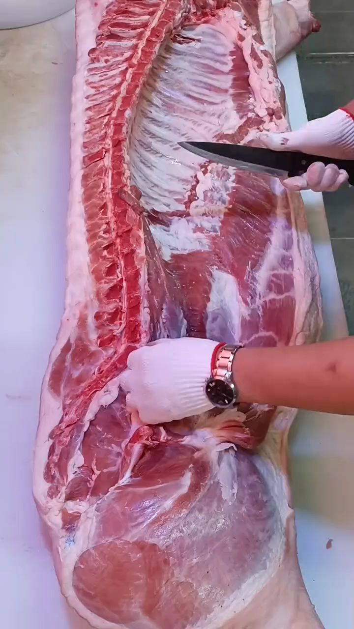 剔骨刀给全猪分割肉的全过程