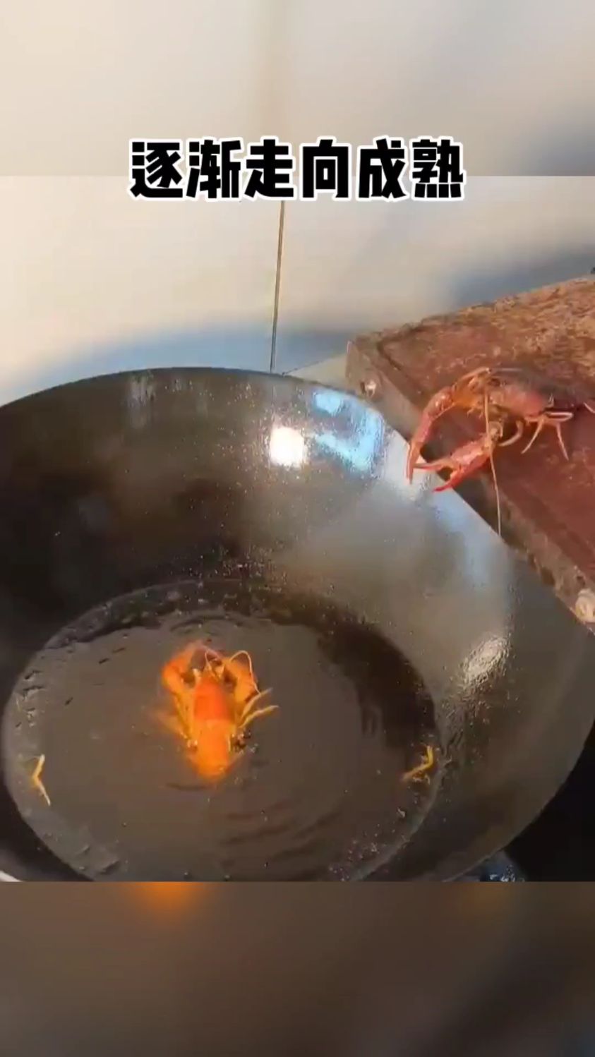 小龙虾这是逐渐走向成熟了,视频主人有点残忍了,给个痛快吧