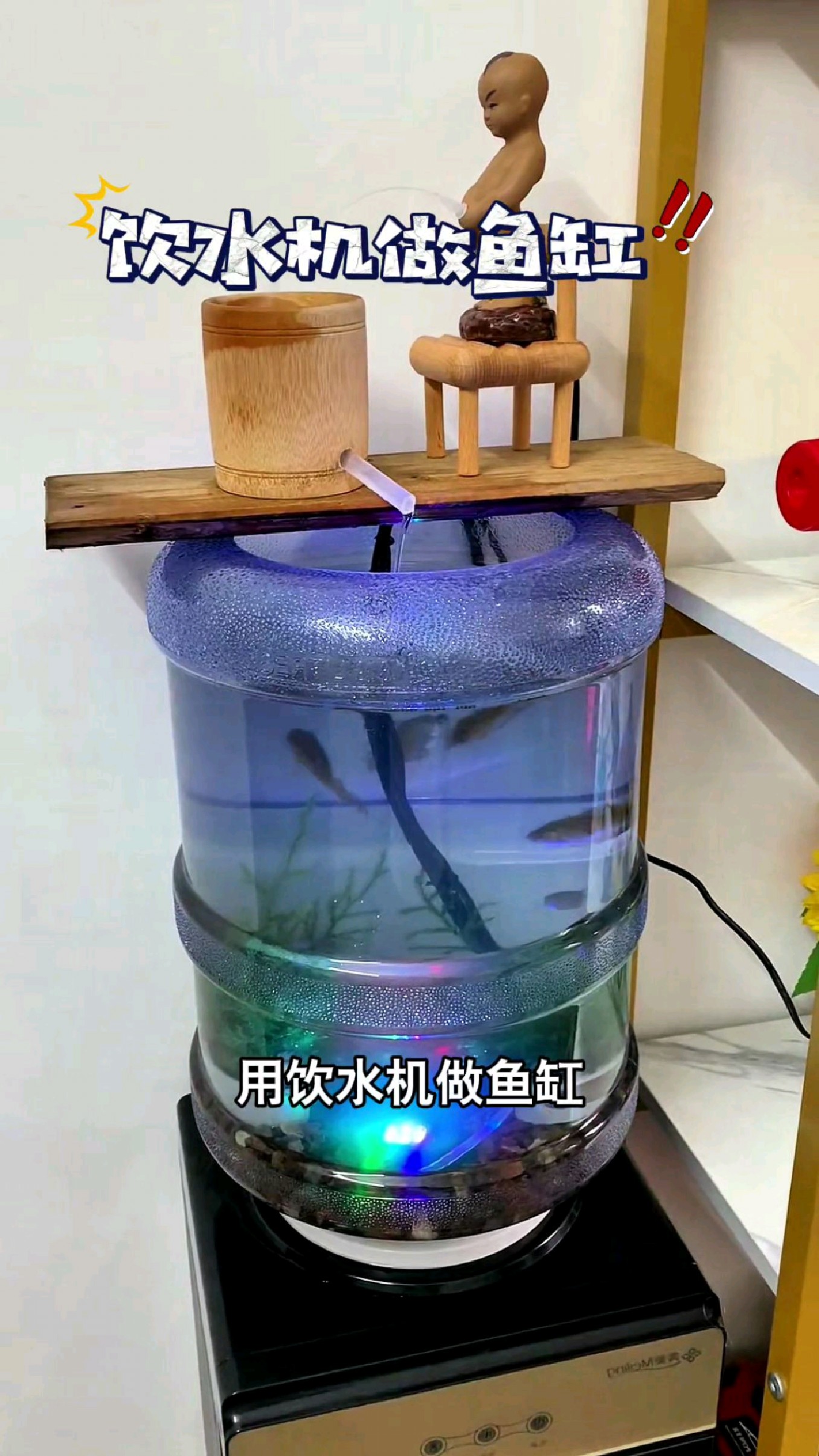 用饮水机做鱼缸,可比玻璃缸好用多了