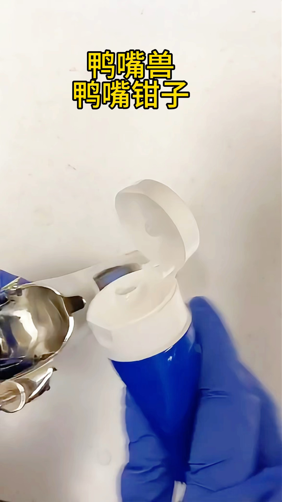 医学生在操作妇产科工具 俗称鸭嘴钳子