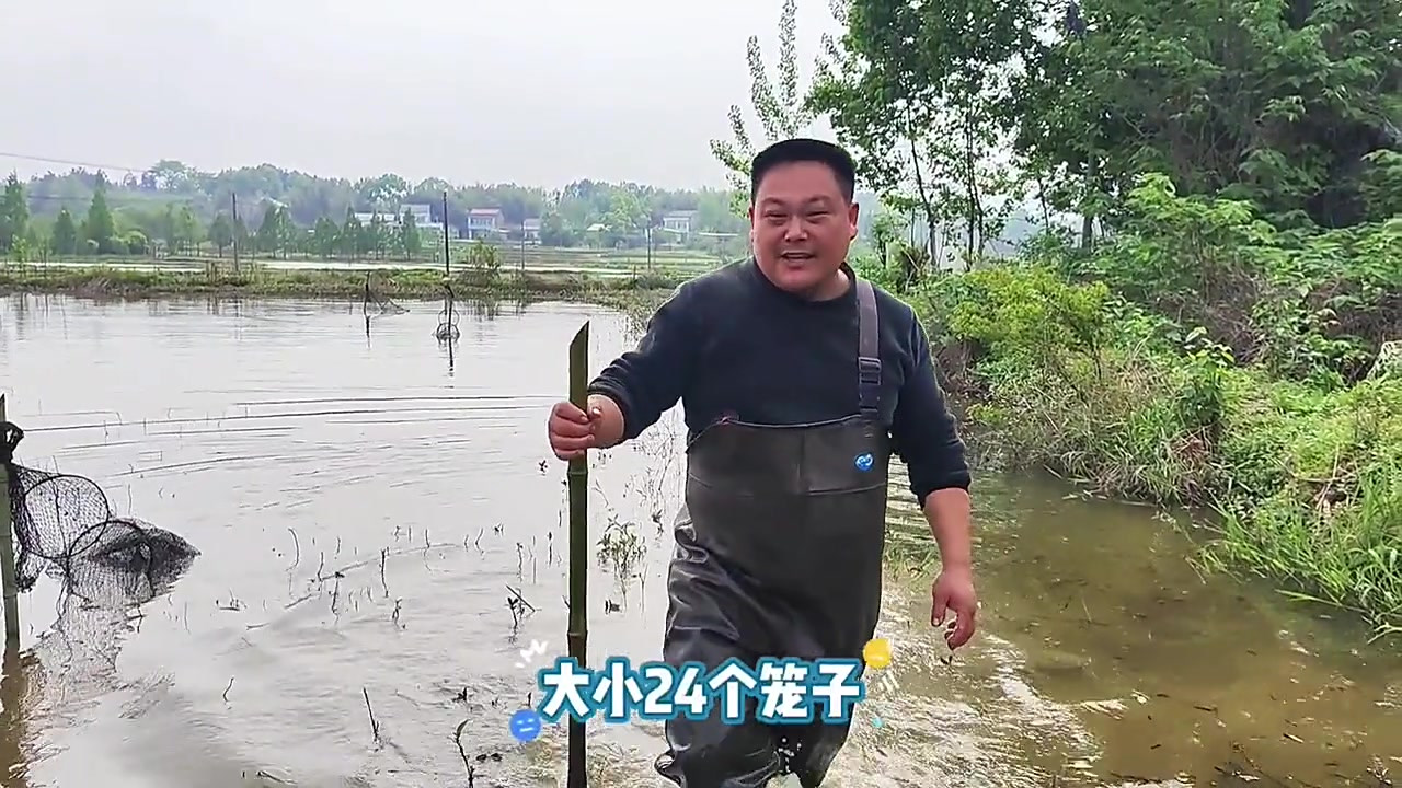 放了一个月的虾苗,到底能长多大?330斤苗子到底能翻多少