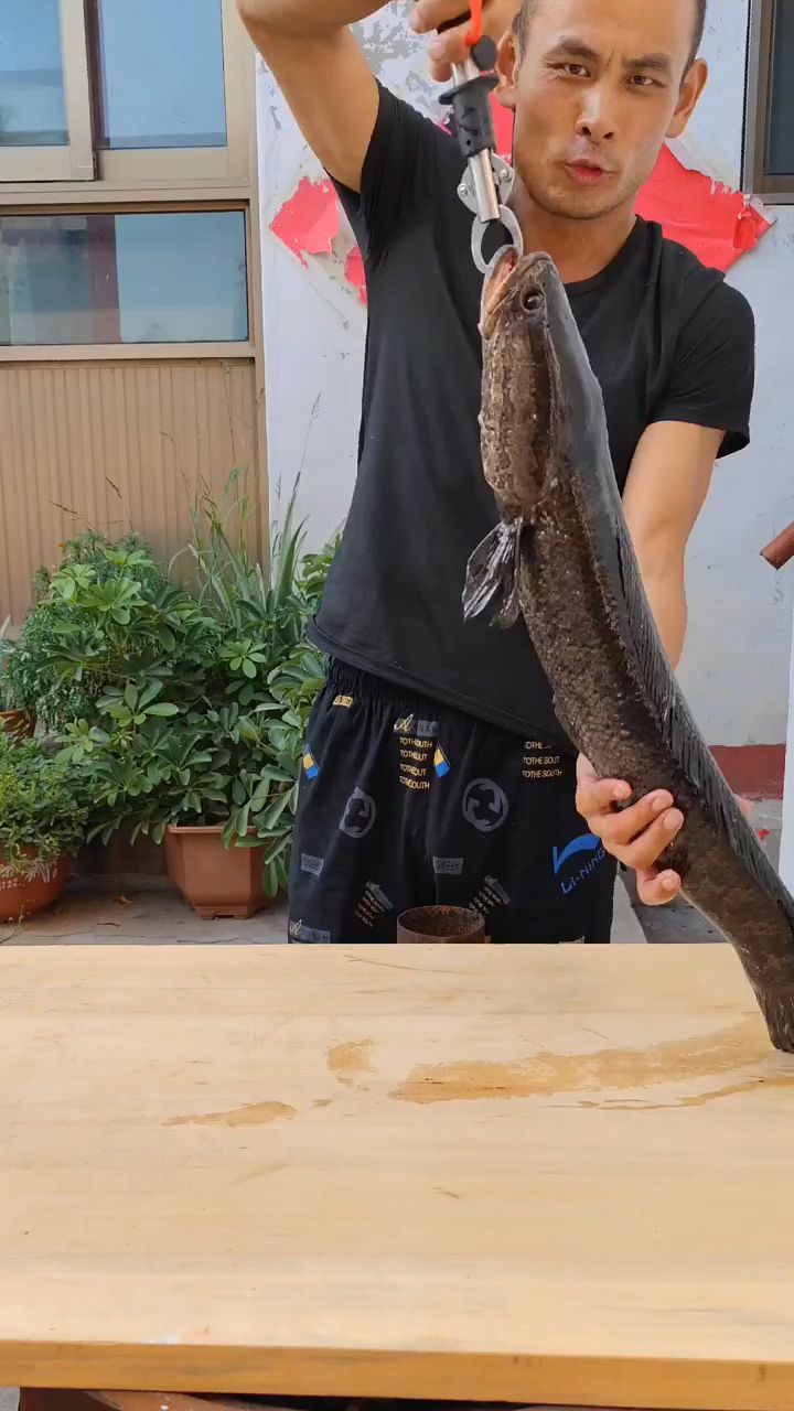 吃麻辣黑鱼,美味营养