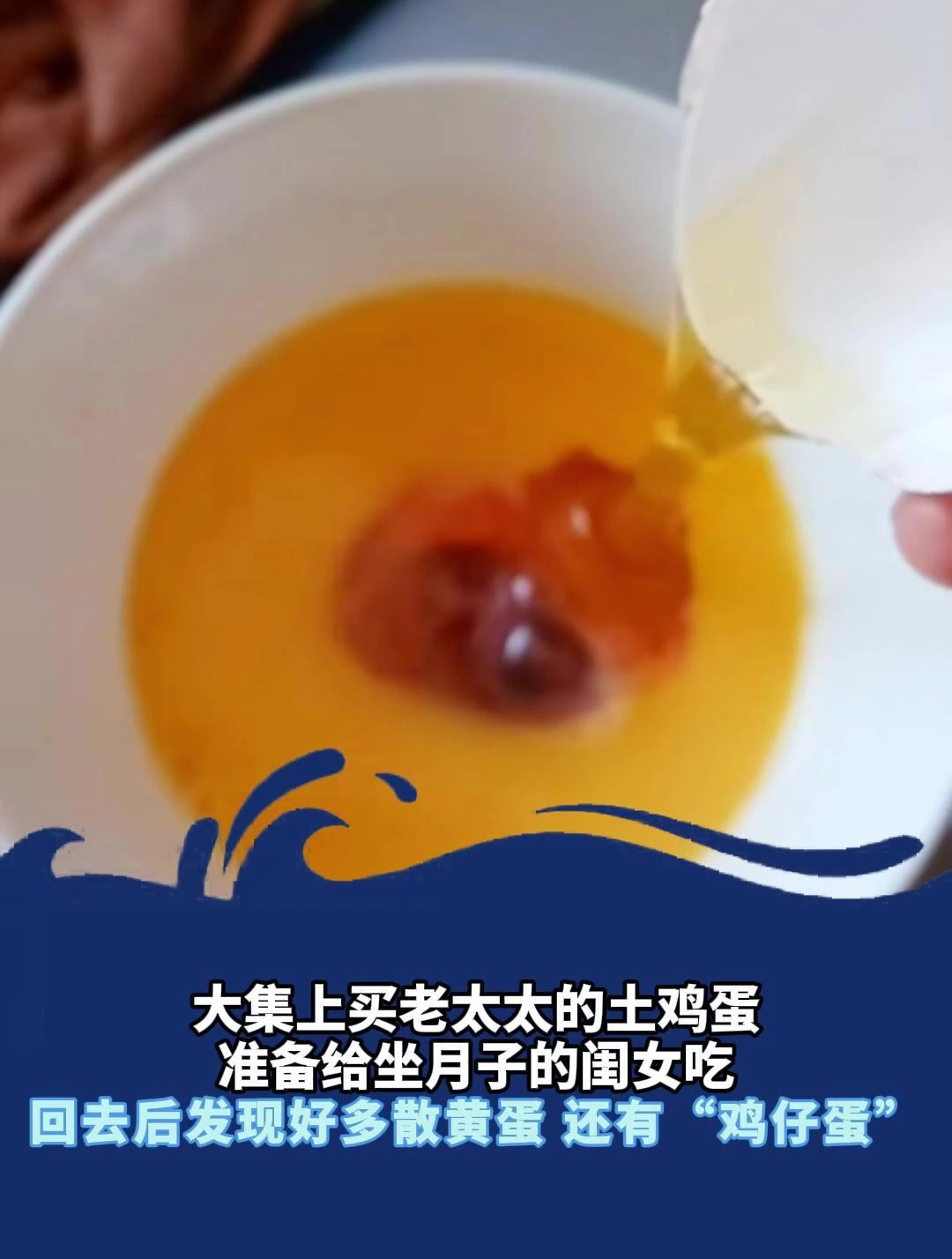 大集上买老太太的土鸡蛋,回去后发现好多散黄蛋 还有“鸡仔蛋”