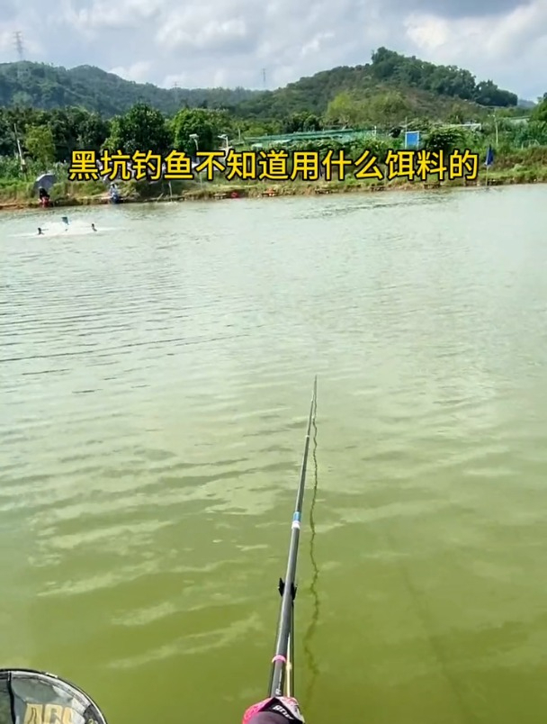 黑坑钓鱼饵料要怎么选?在开饵时要注意哪些方面?