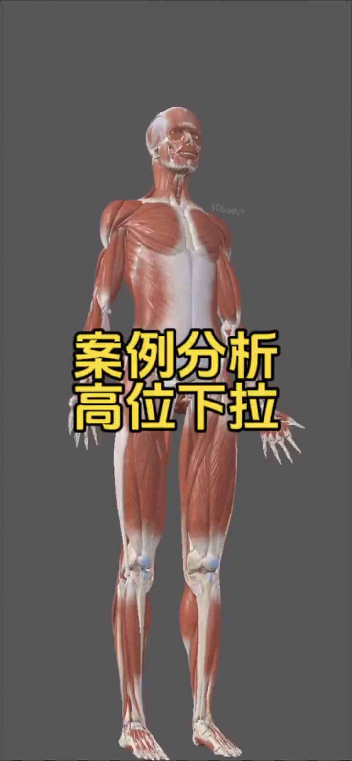 为什么做完高位下拉后,胸大肌也酸酸胀胀的?