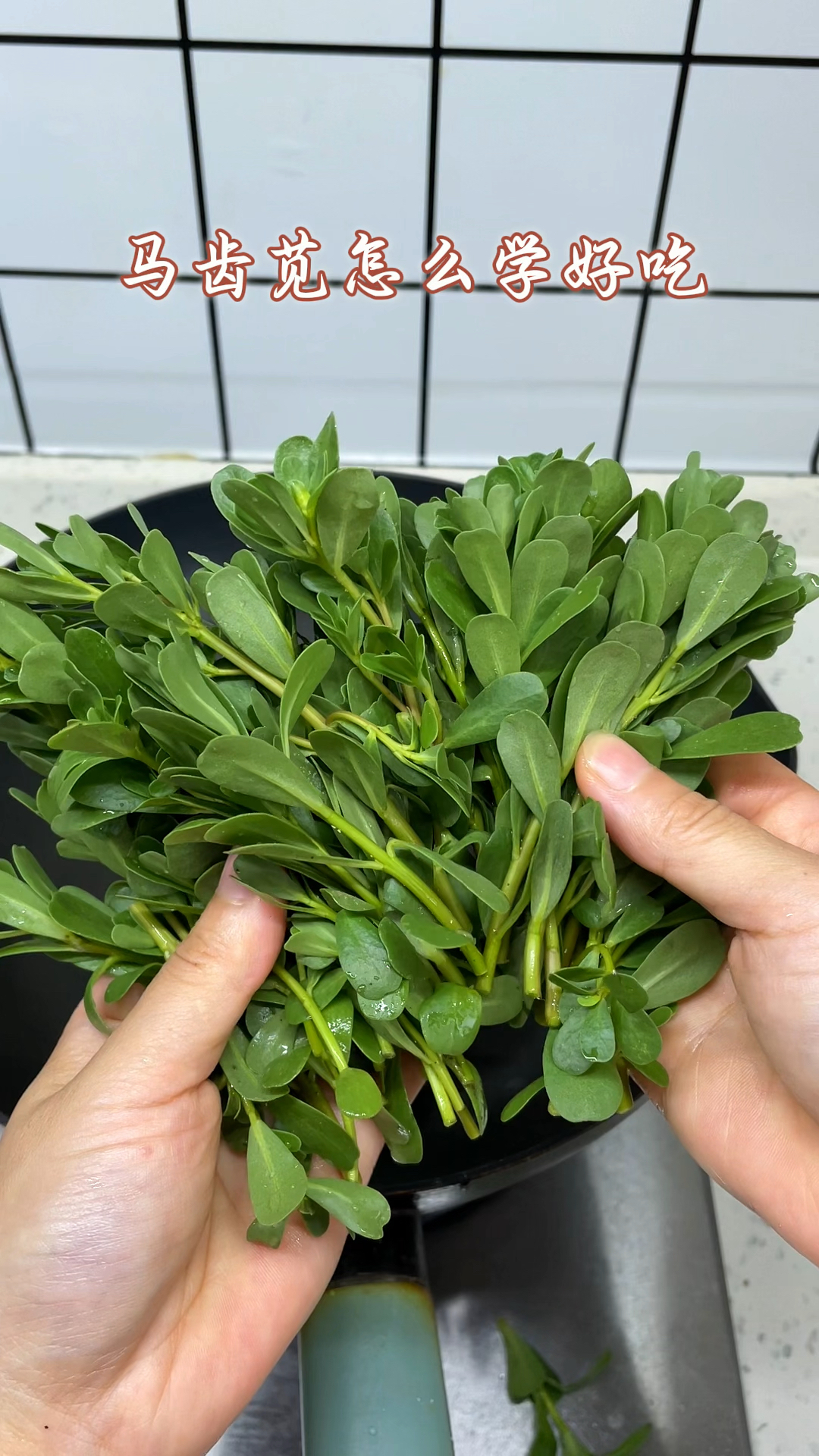 马齿苋怎么做好吃?试试这样做,五分钟一桌美味就出锅