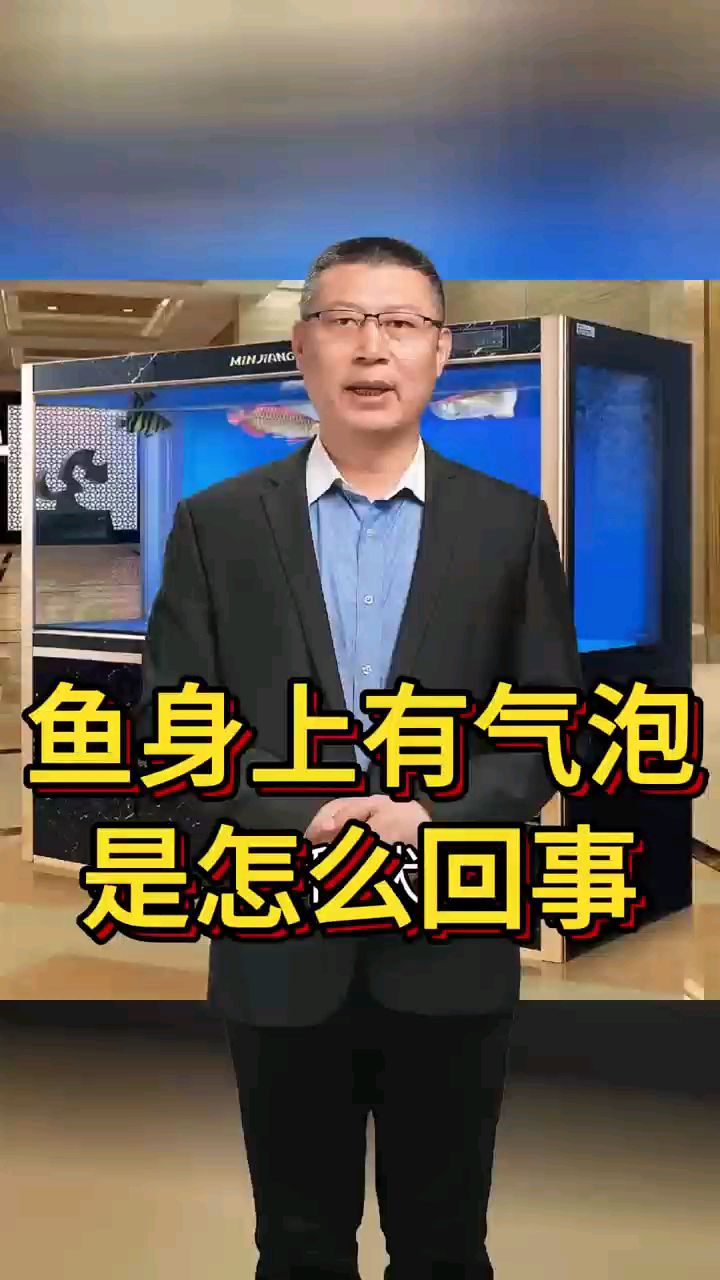 鱼身上有气泡是怎么回事
