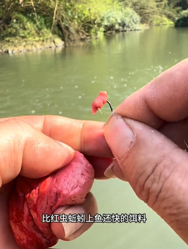 溪流钓白条石斑马口鱼用面筋饵的正确方法,老钓友现场演示!