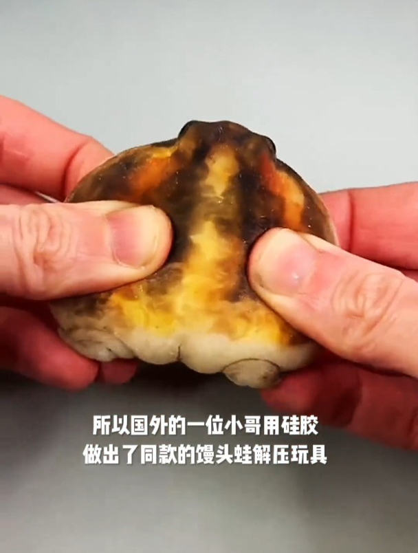 这么可爱又解压的馒头蛙,你爱了吗?