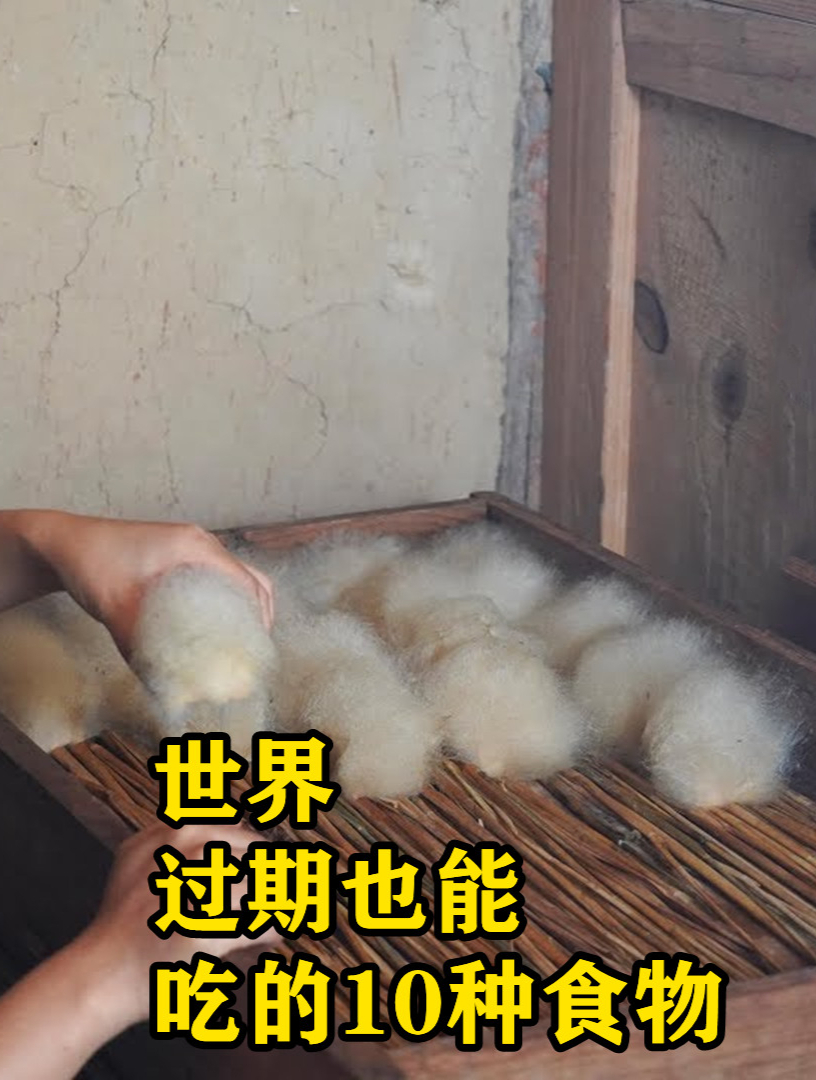 世界过期也能吃的10种食物,鸡蛋过期也能吃?第1名做到永久保存