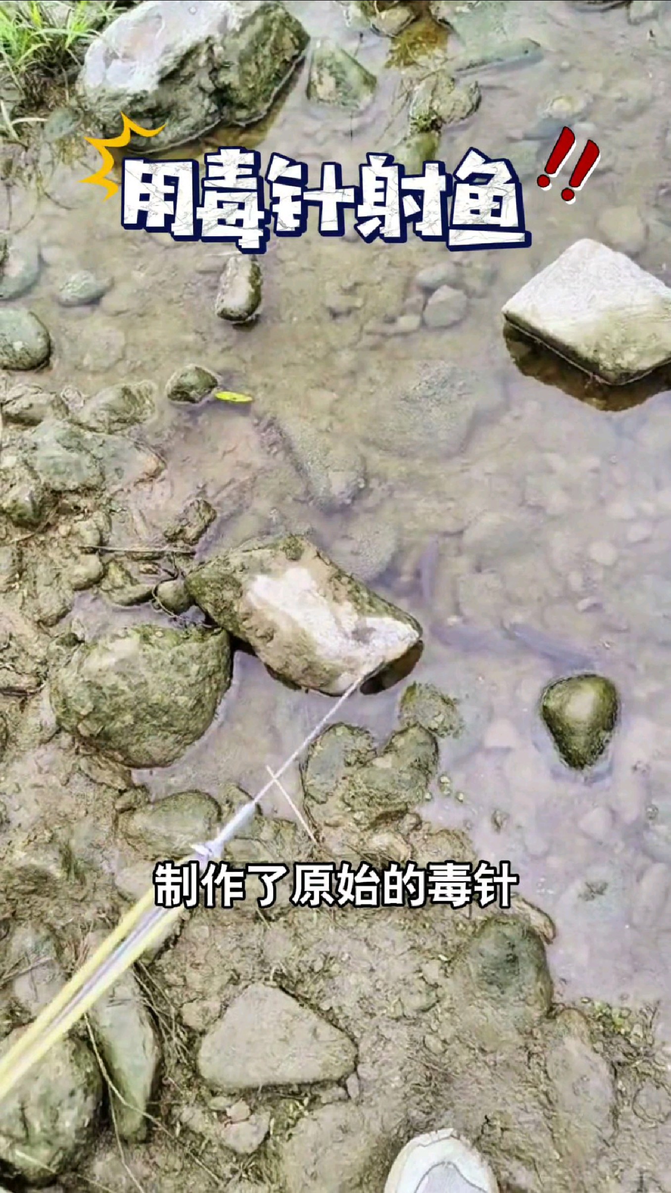 制作了原始的毒针来野河射鱼#我的钓鱼日记 #钓鱼也能这么快乐