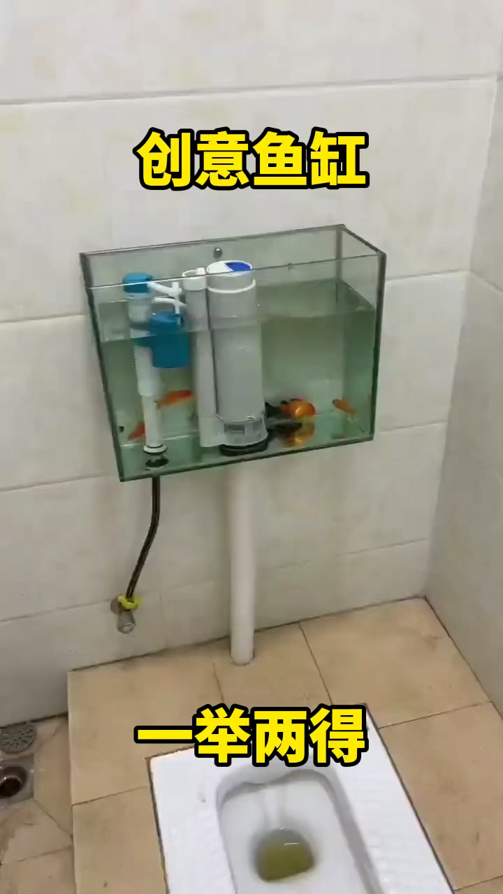 多功能创意鱼缸设计