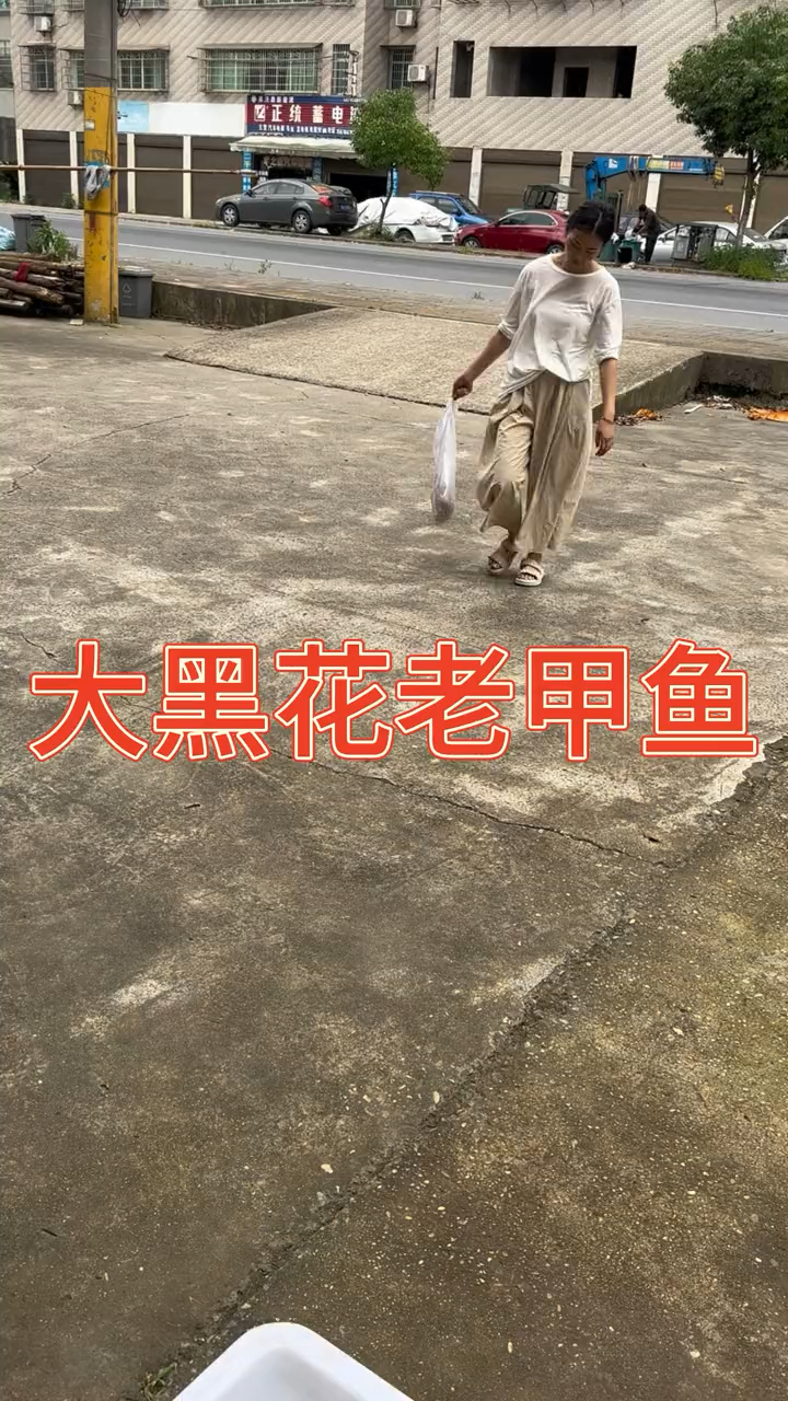小姐姐送来一个纯野生黑花甲鱼,有4斤左右!够老