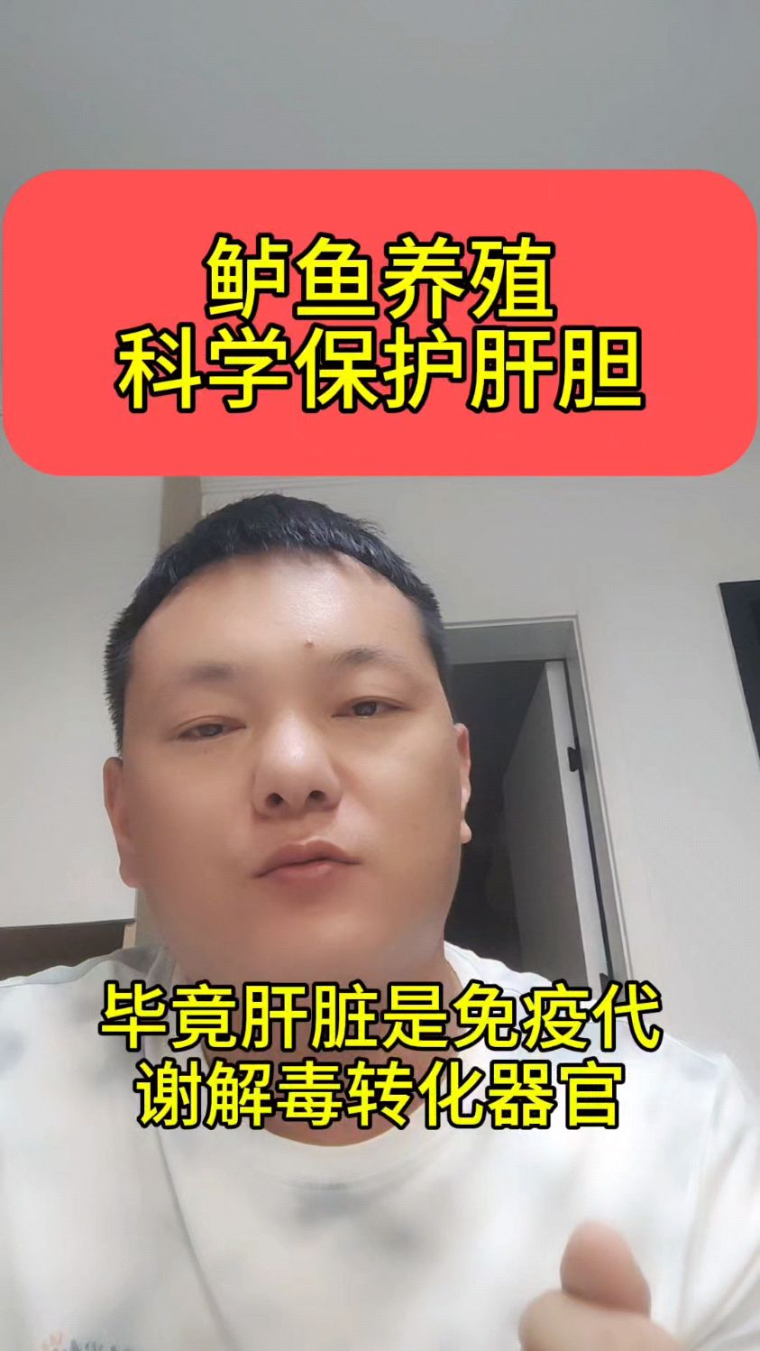 鲈鱼养殖,科学保护肝胆
