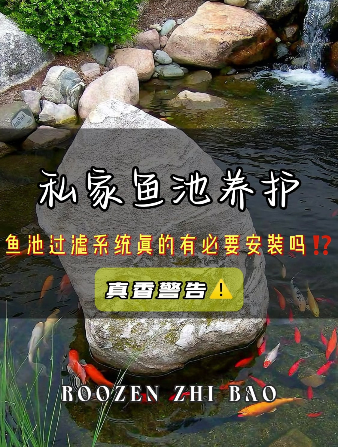 鱼池养护小知识|养好鱼原来也得看“ta”