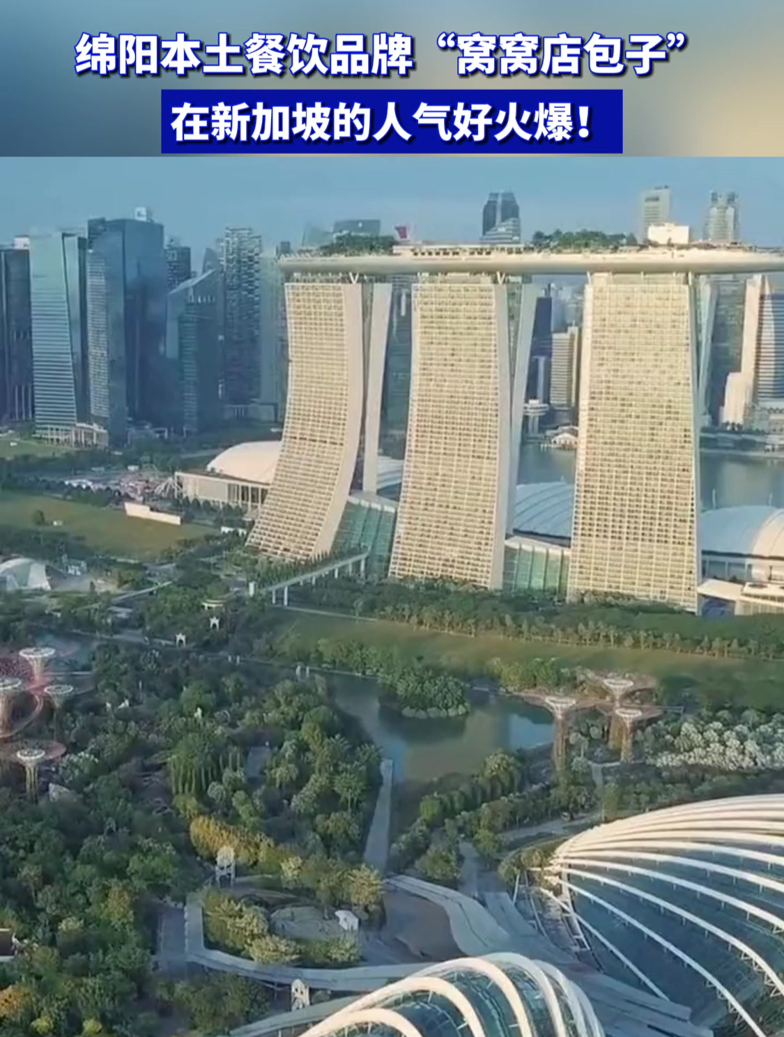绵阳本土餐饮品牌“窝窝店包子”在新加坡的人气好火爆!