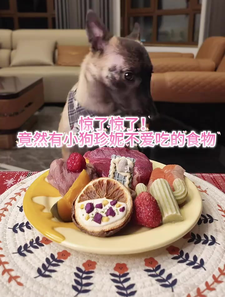 小狗居然有不爱吃的食物!