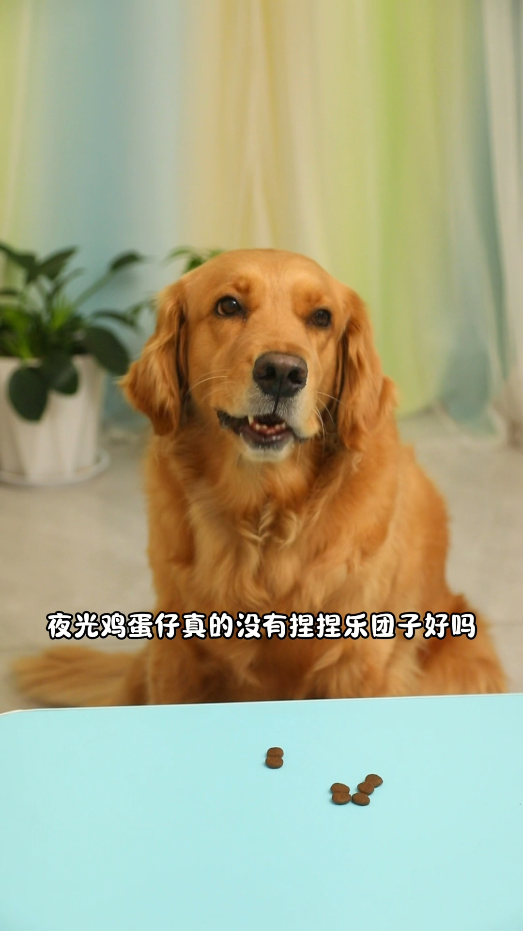 夜光鸡蛋仔真的很不好吗