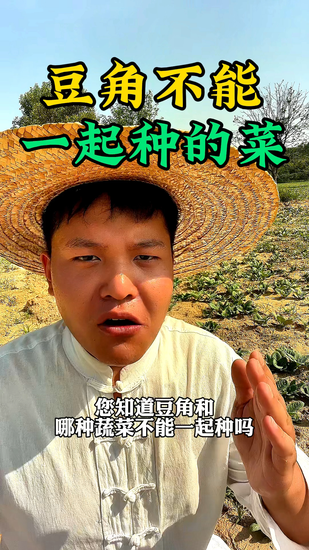 您知道豆角不能和哪些蔬菜类种植在一起吗?