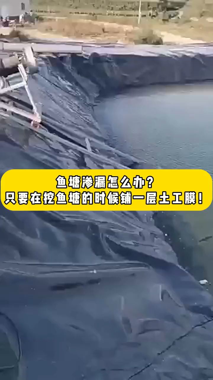 鱼池防渗膜 蓄水池黑膜