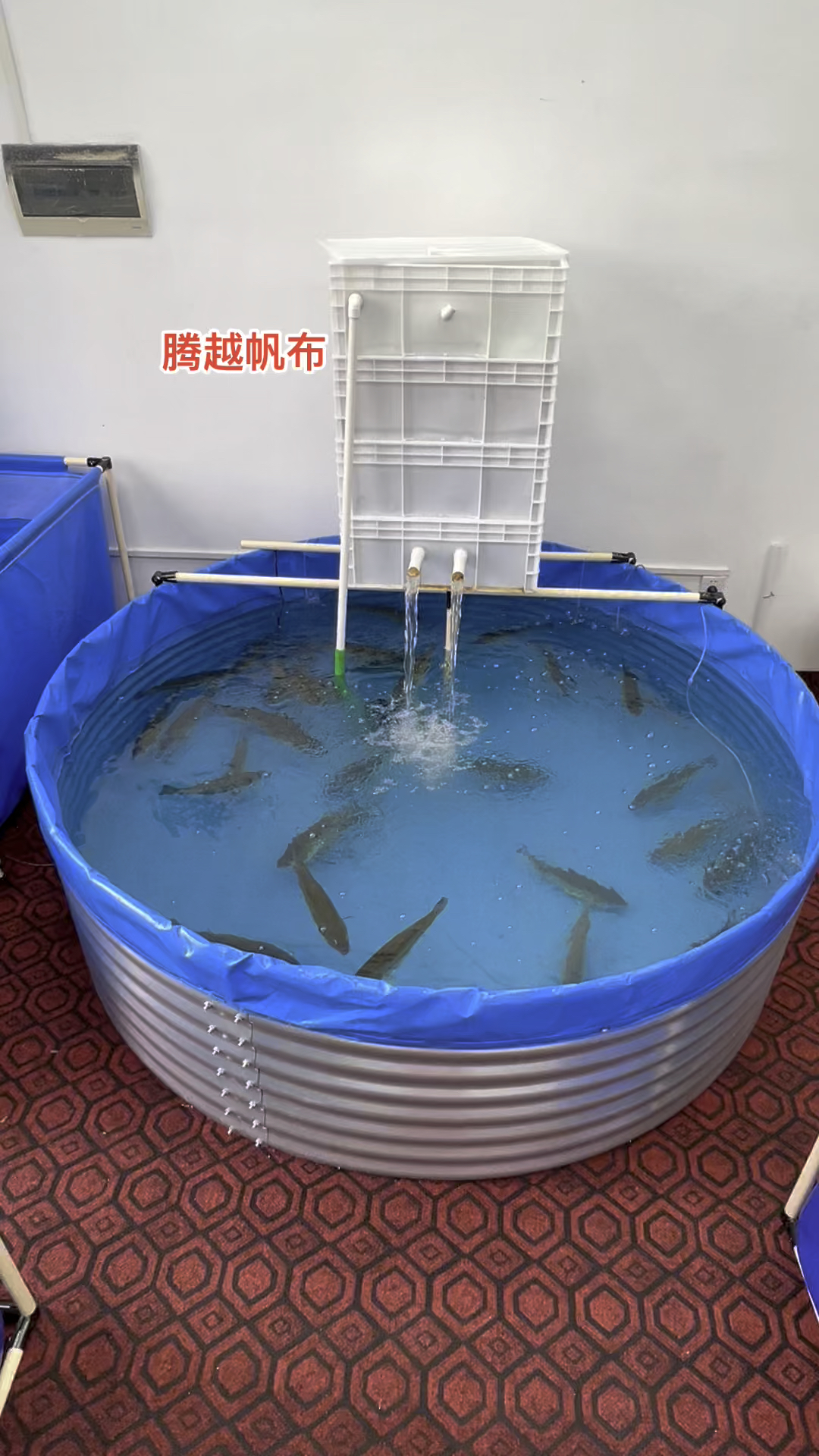 镀锌板帆布鱼池循环水高密度养殖