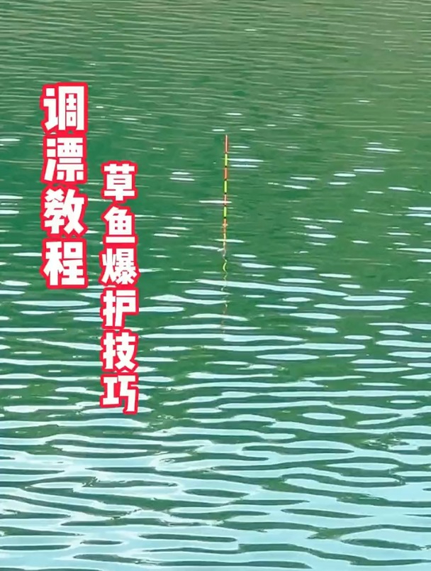 钓草鱼如何调漂?邓大师现场示范!