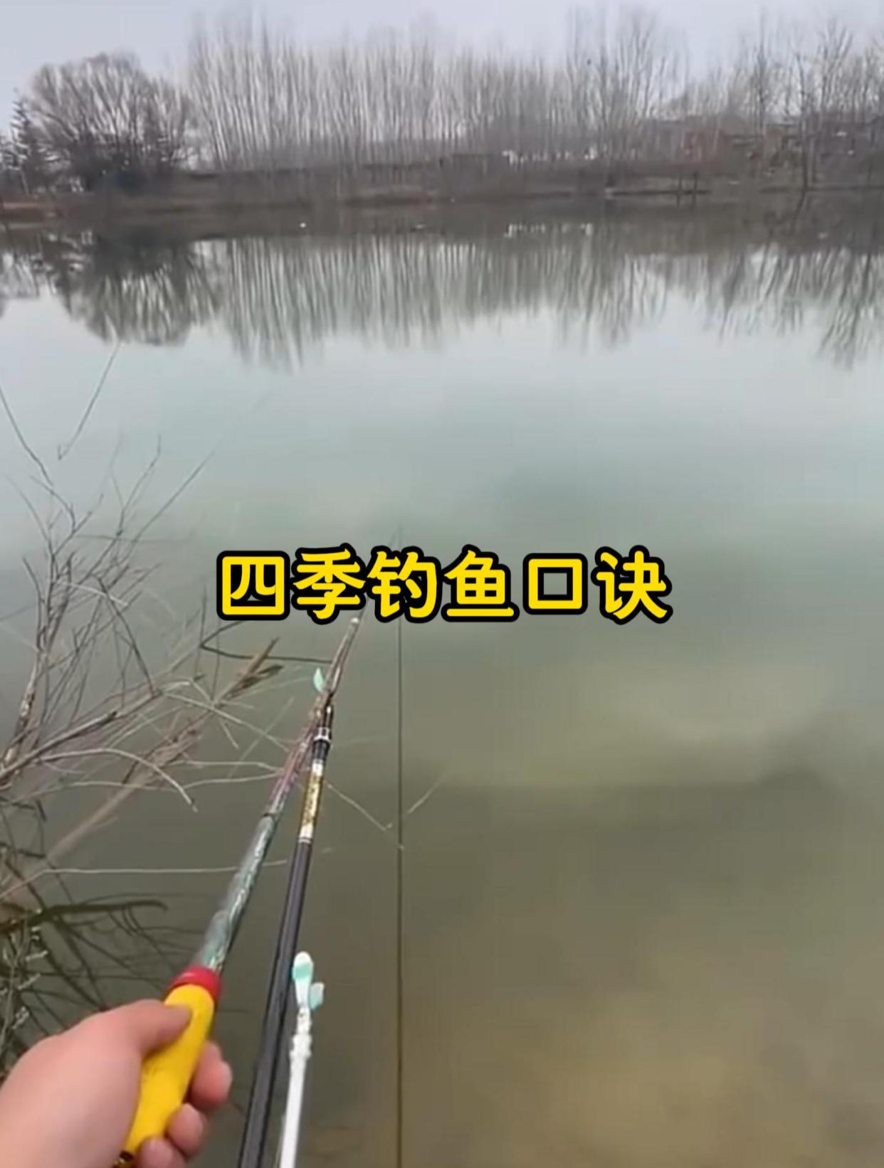 四季钓鱼口诀,记住这些,想空军都难!