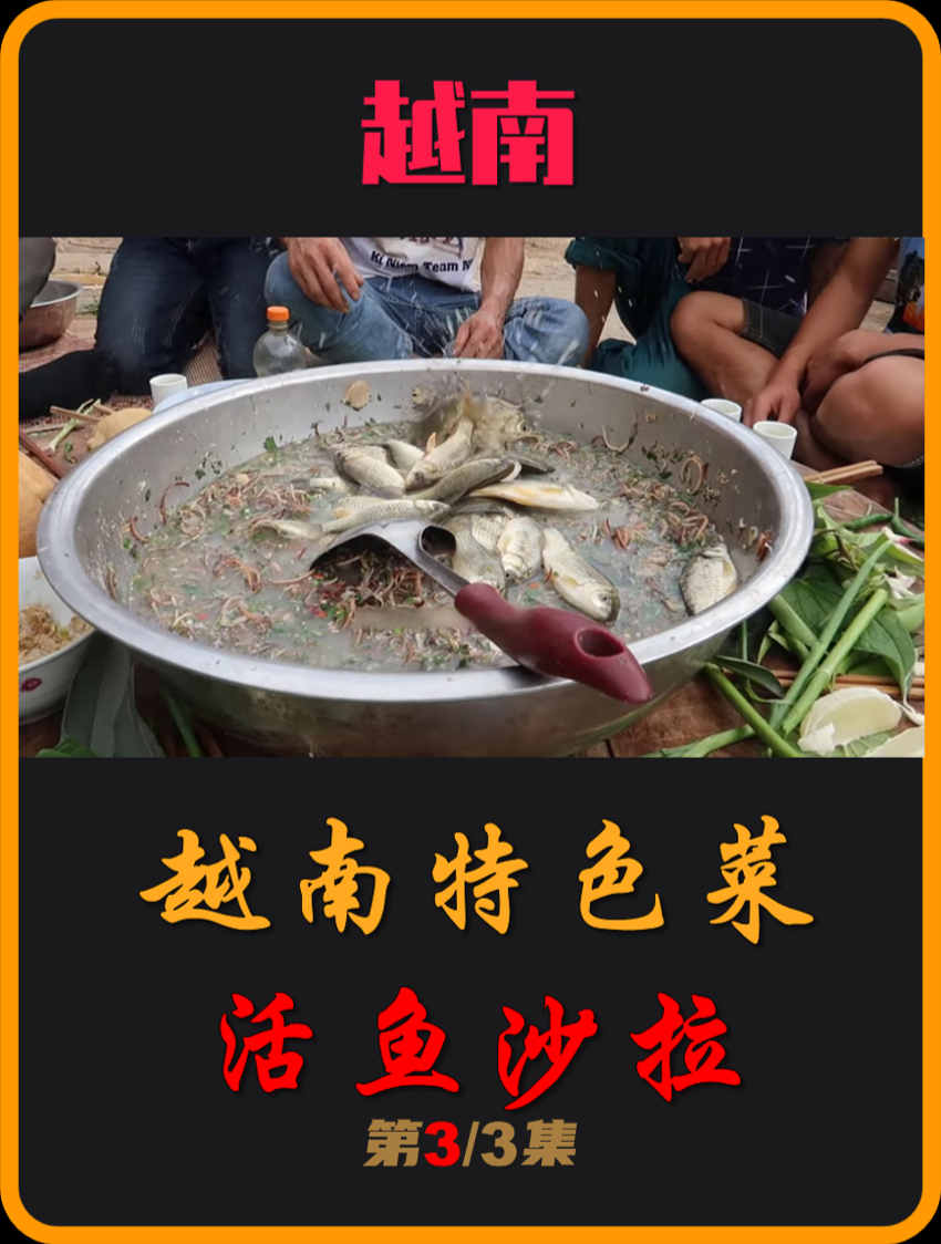 中国有生腌蟹,越南有生腌小鱼,越南北部特色菜!( 03)