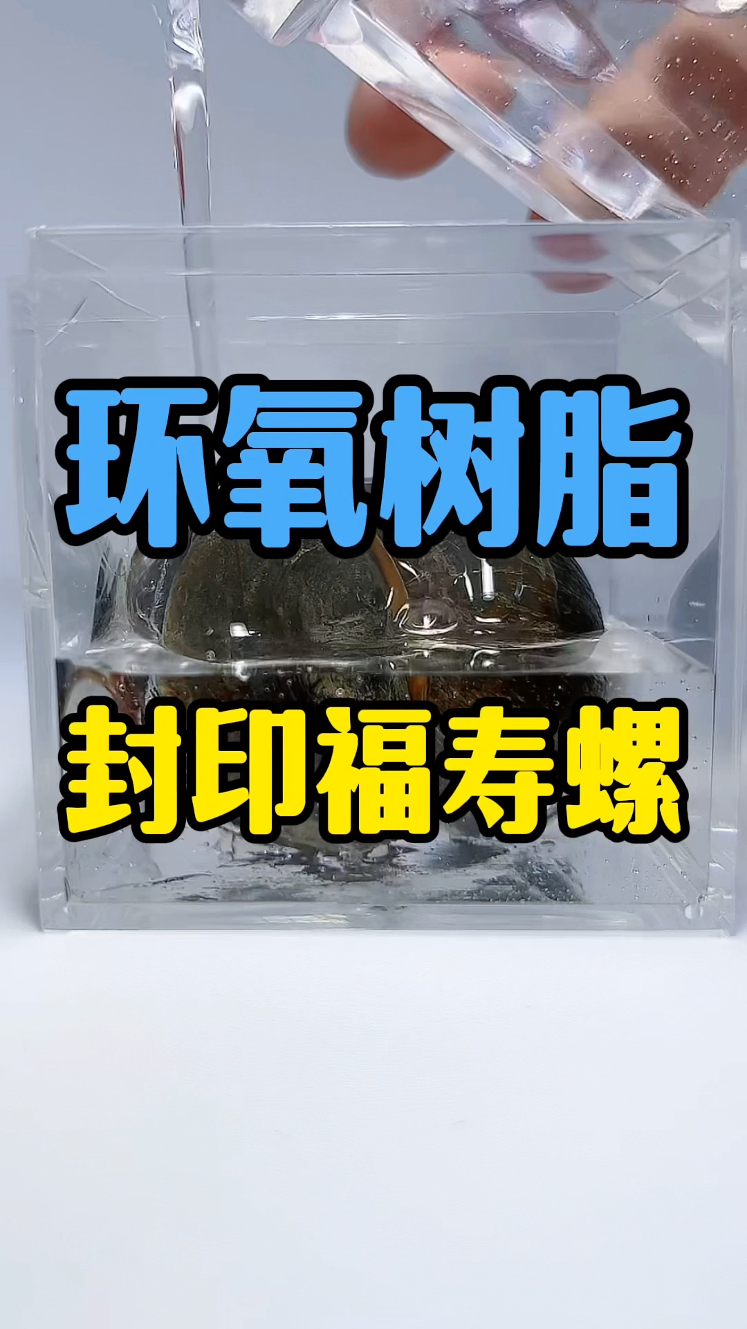 把一瓶环氧树脂淹没福寿螺,福寿螺会变标本吗?福寿螺:这下遗臭万年了!