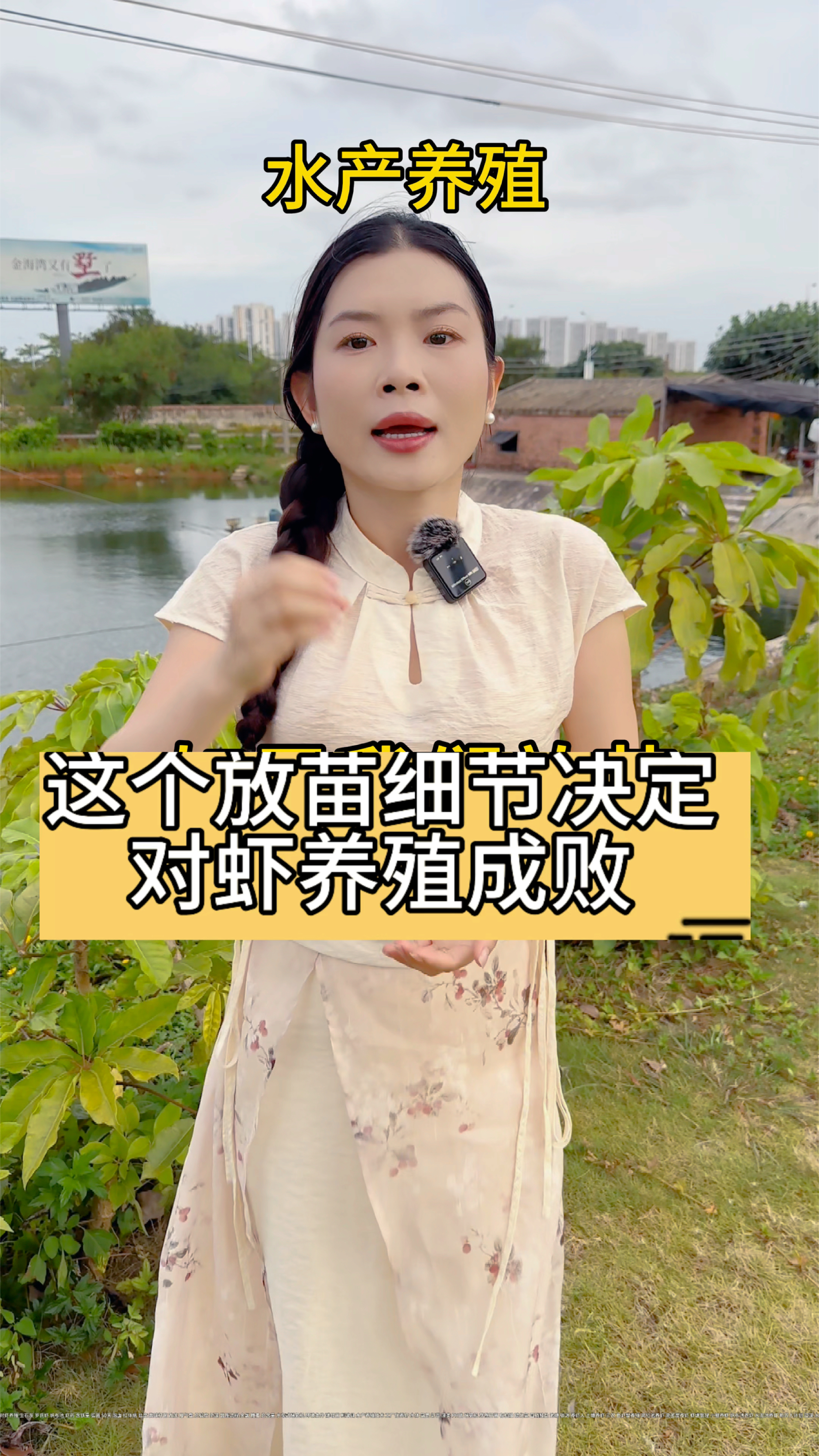 @这个放虾苗细节决定对养殖成败#南美白对虾养殖 #罗氏虾养殖
