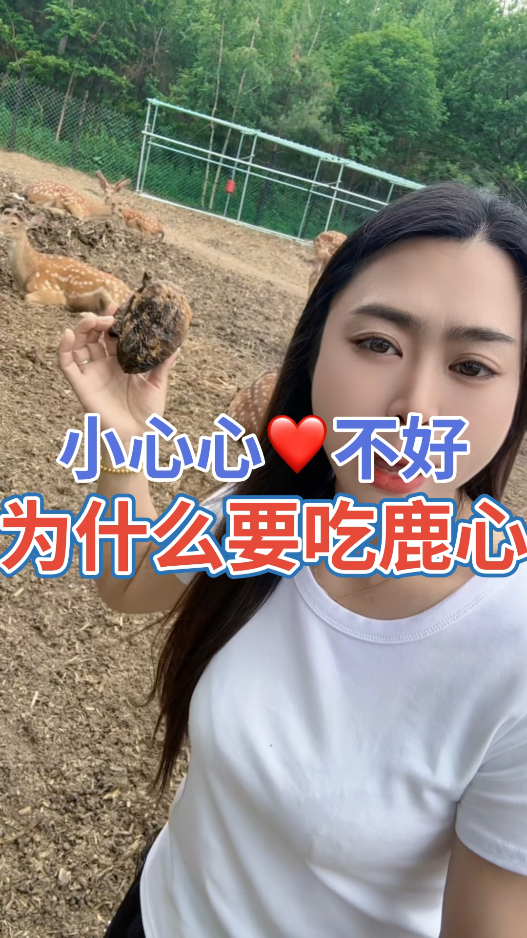 鹿心的作用与功效