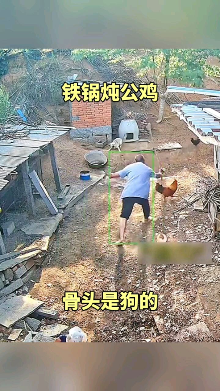 铁锅炖公鸡,骨头是狗的!