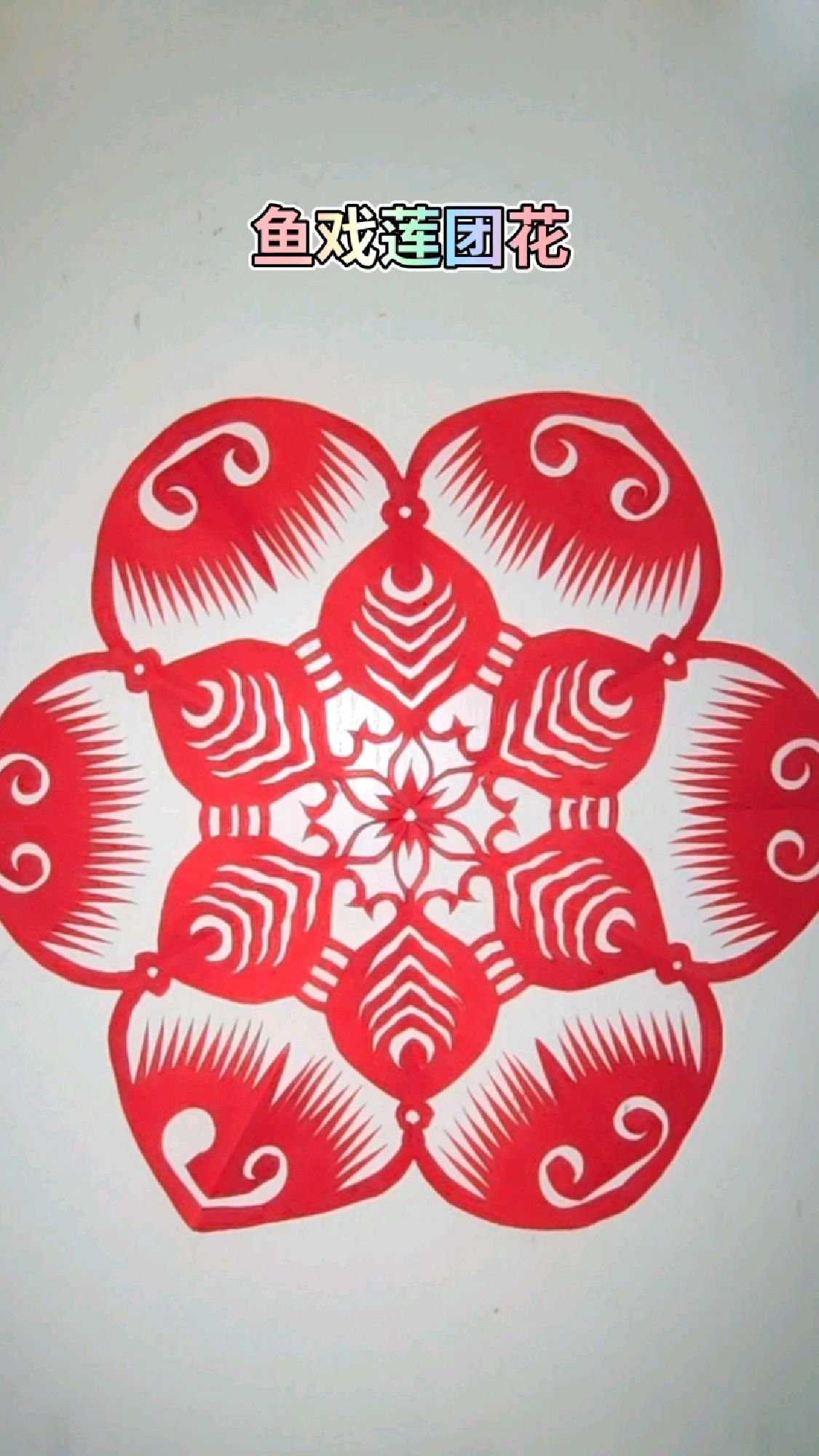 手工剪纸,鱼戏莲团花剪纸过程