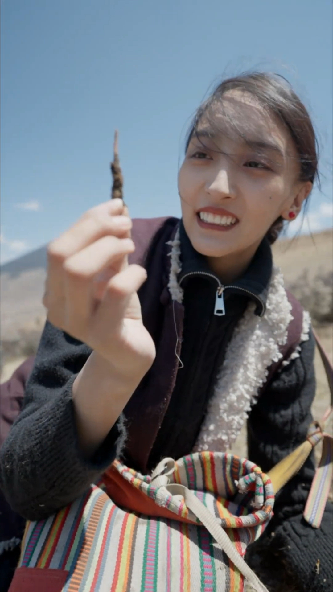 丁珠:冬虫夏草是怎么形成的?