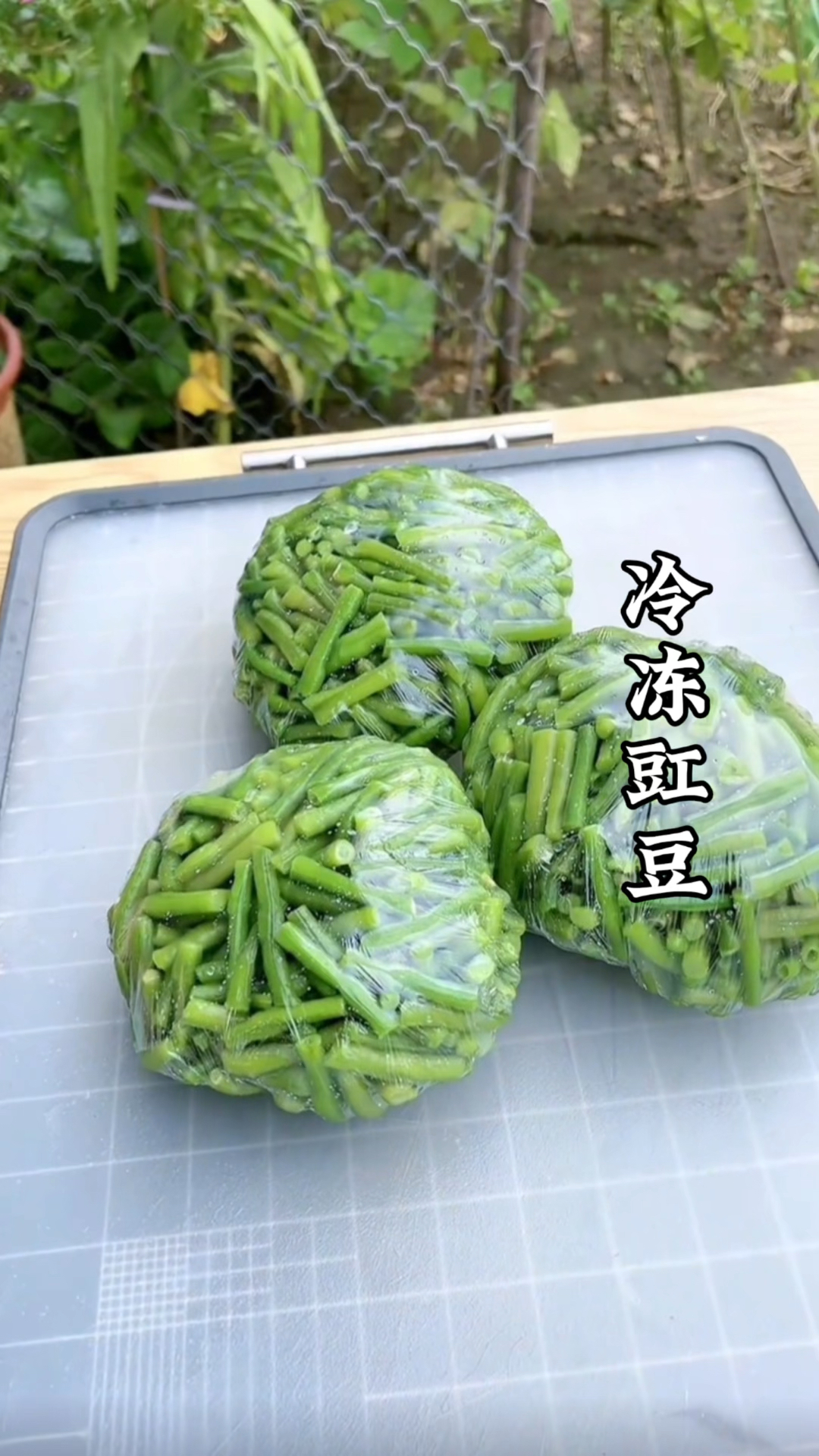 豇豆大量上市的季节,冷冻起来留着冬天吃,炒着吃,包包子都可以
