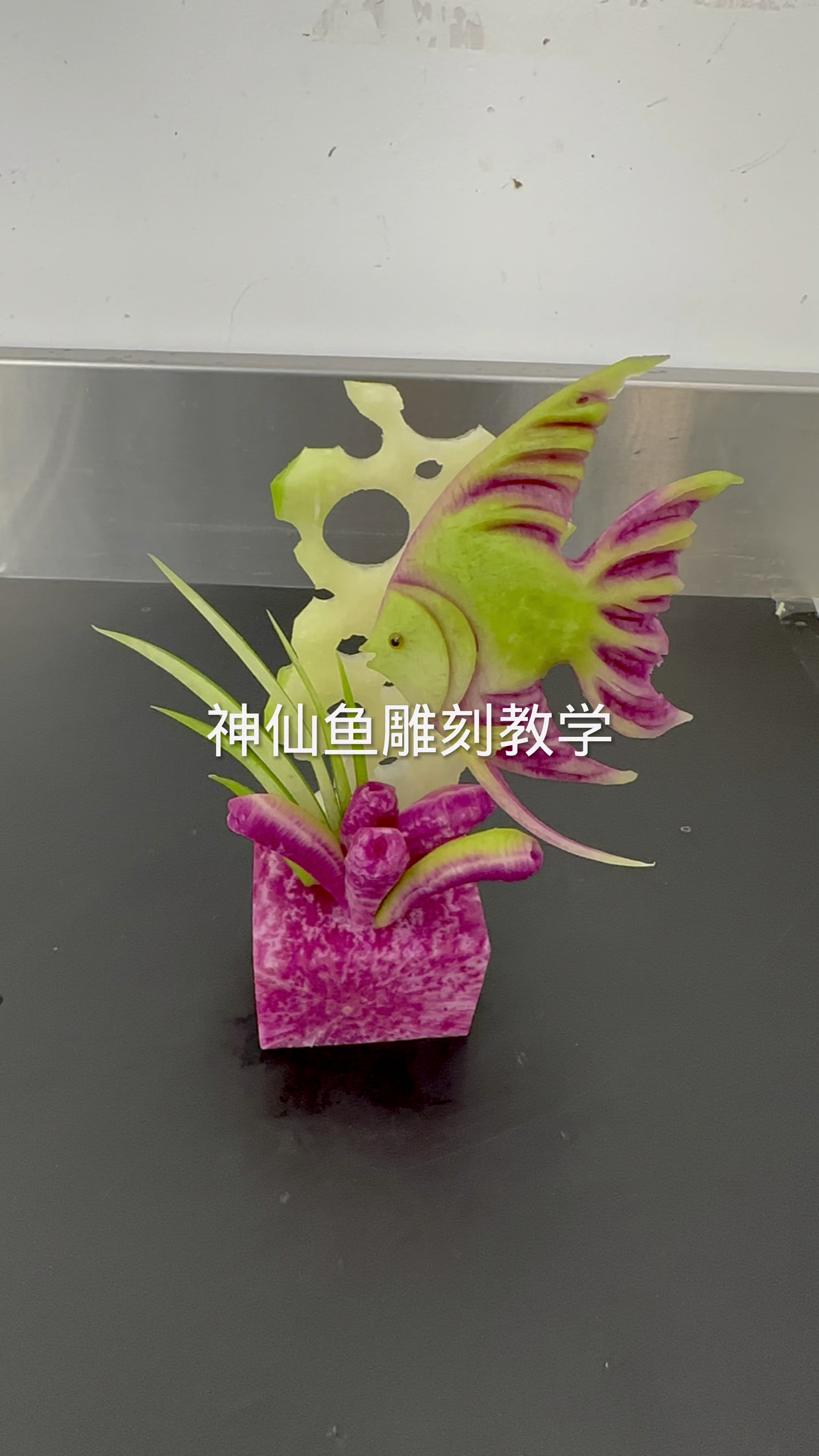 萝卜鱼儿游啊游游