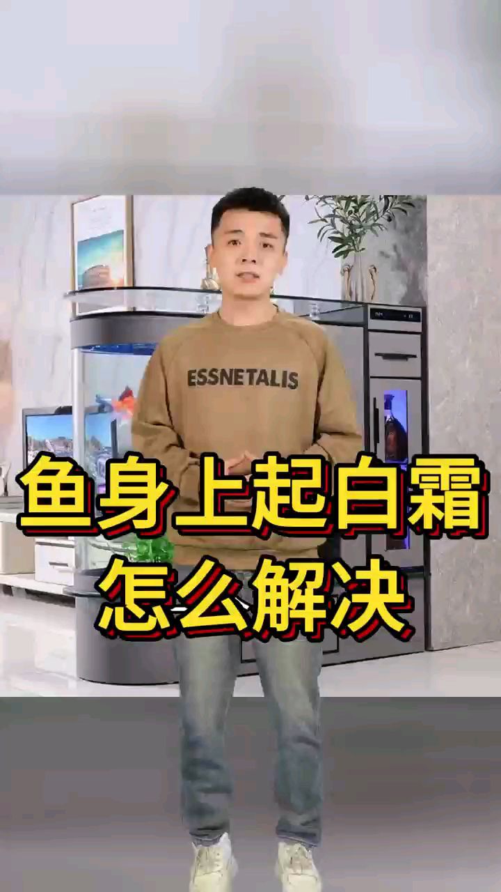 鱼身上起白霜怎么解决