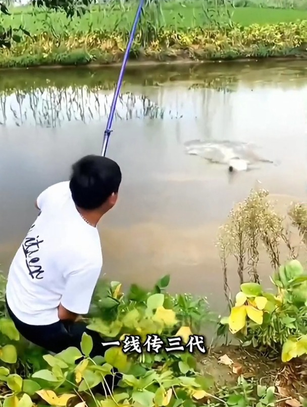 最没用的大力马鱼线,没想到却是钓大鱼的利器!