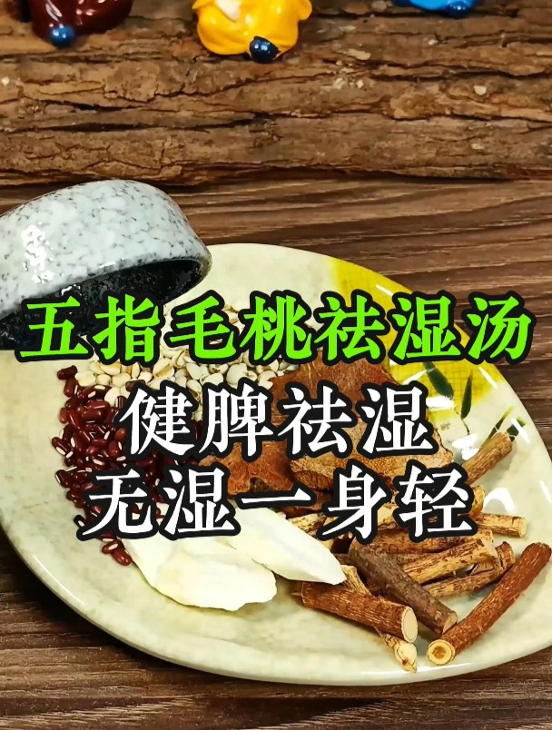 三伏天湿气重,整天懒洋洋的,这个五指毛桃汤收好了,健脾祛湿