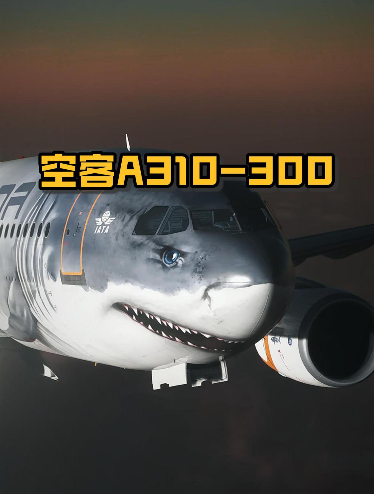 鲨鱼涂装 空客A310-300