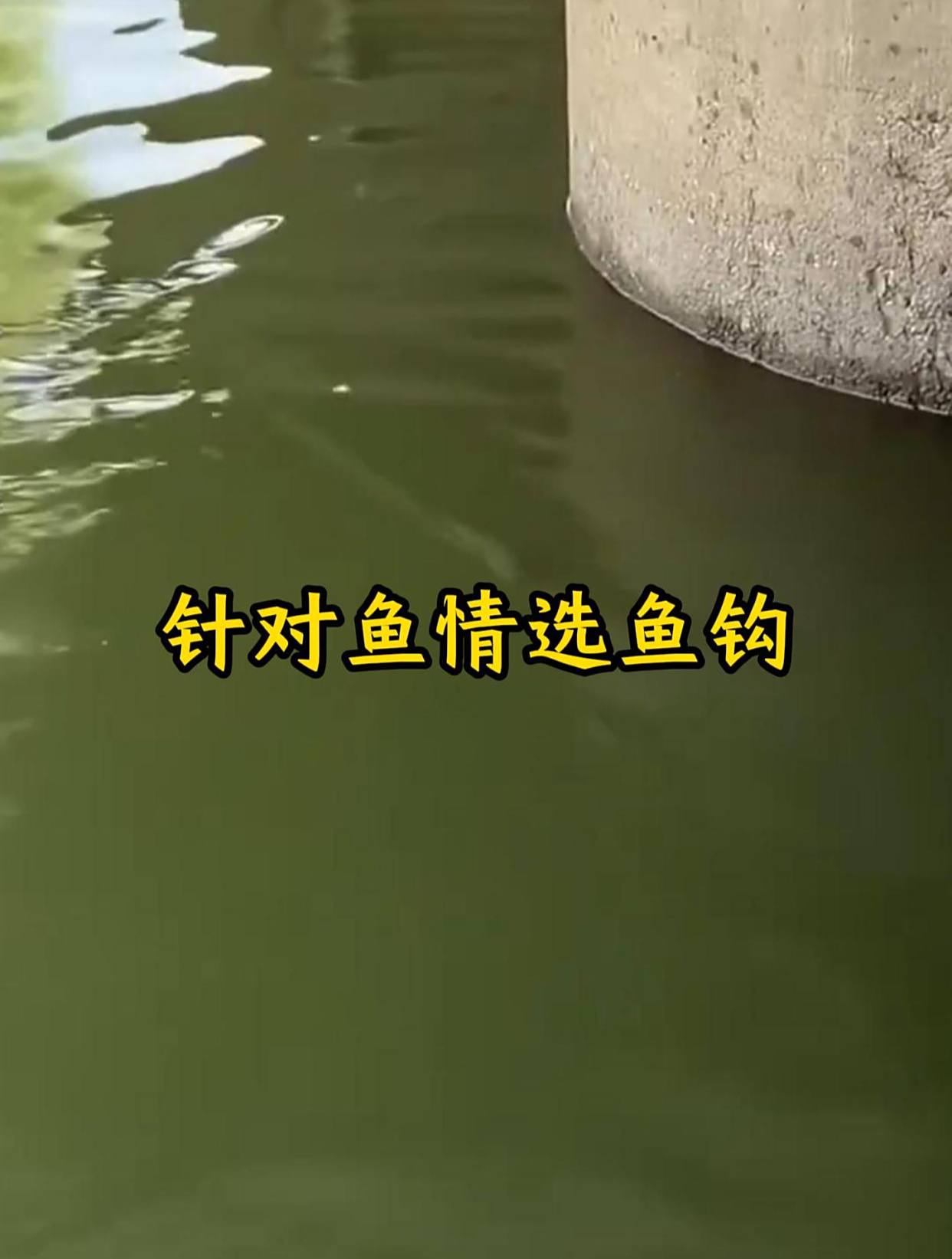 针对鱼情选鱼钩,记住了,能钓所有鱼情!