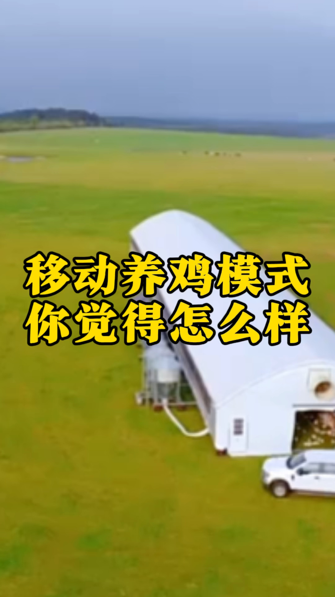 看看德国的移动养鸡模式,你觉得适合我国吗