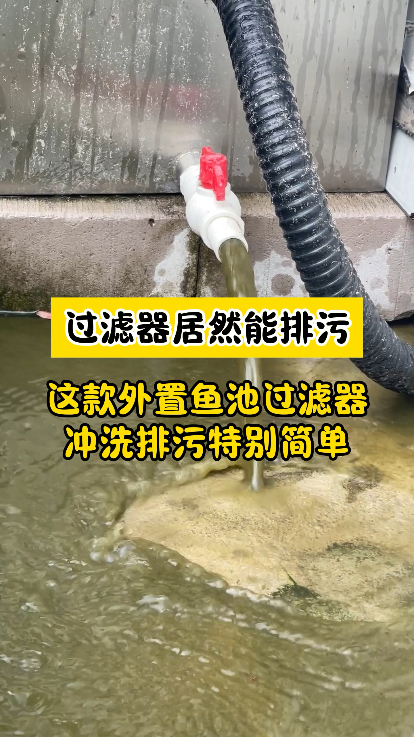 外置鱼池过滤器清洗麻烦?