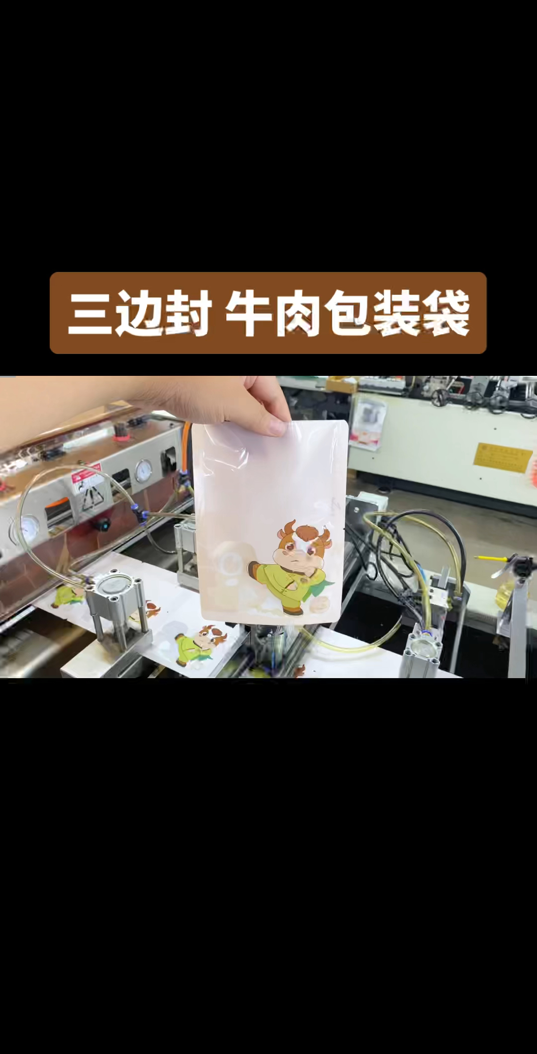 北印包装厂定制,三边封牛肉包装袋,尼龙材质可真空冷冻