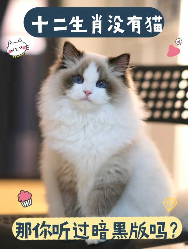 十二生肖没有猫,那你听过暗黑版嘛?