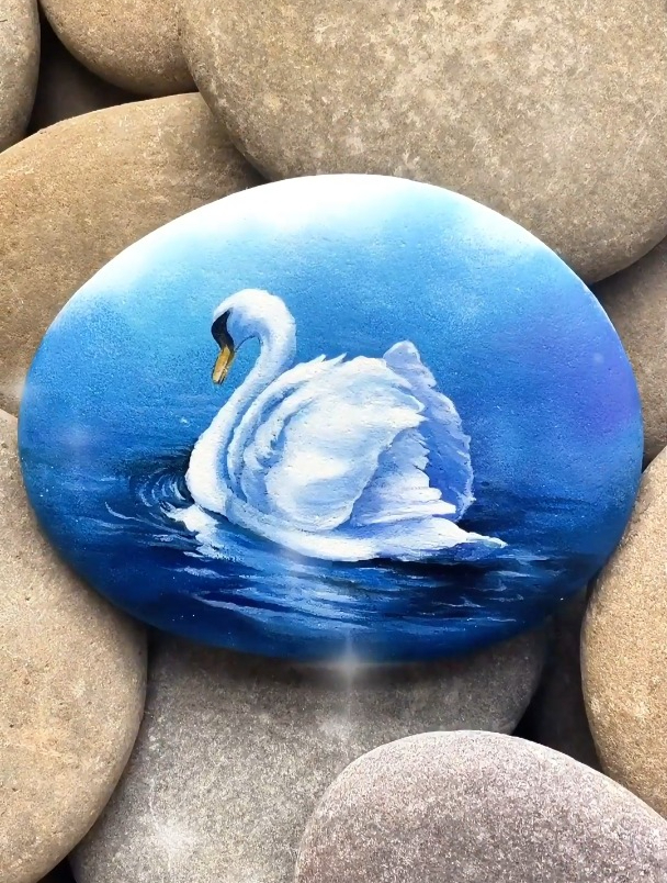 石头上画白天鹅,我一口气看了三遍!