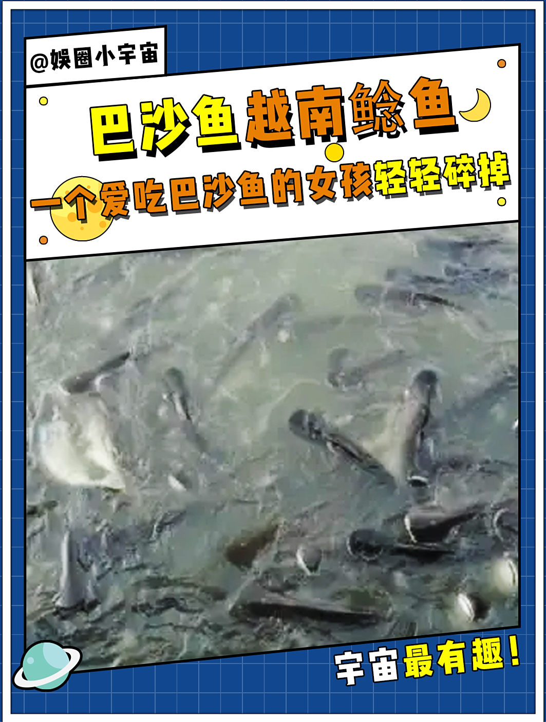 此时一个爱吃巴沙鱼的小女孩轻轻地碎掉了
