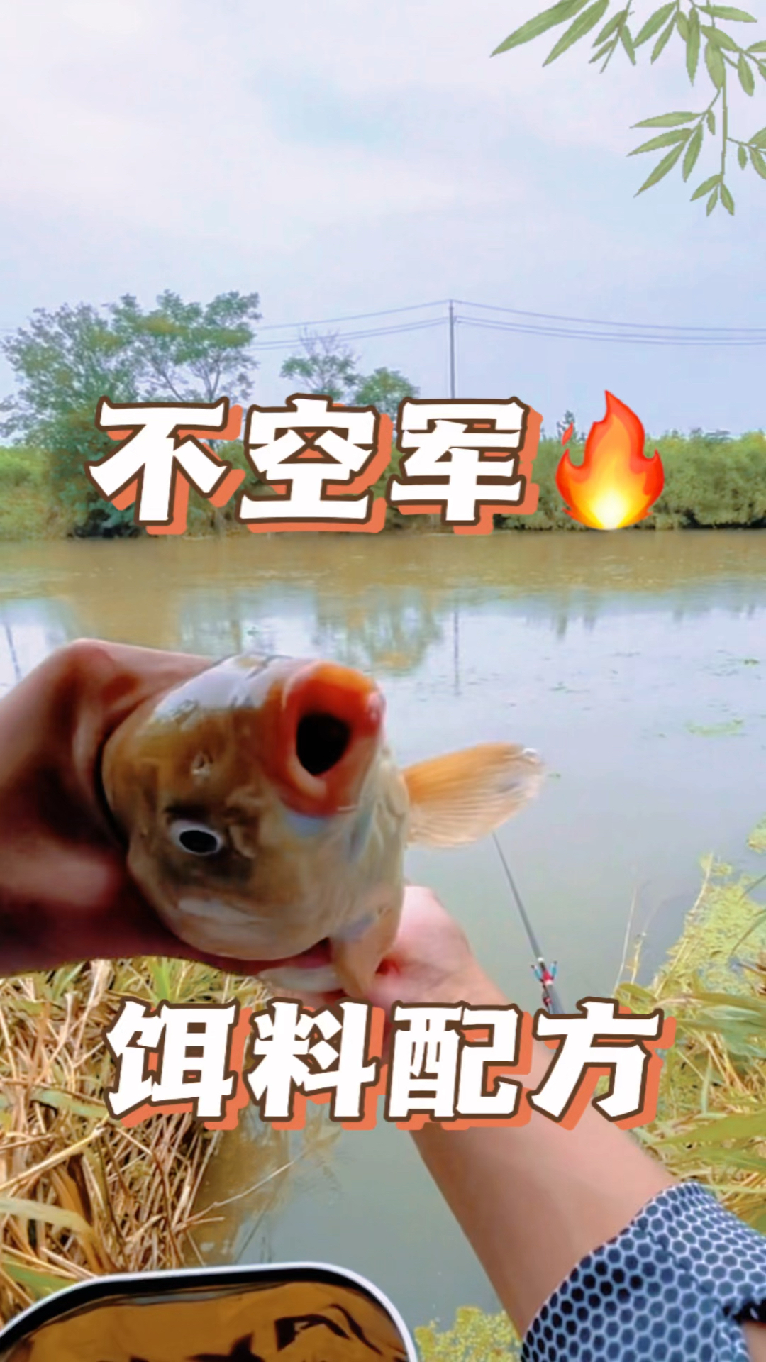 野钓不空军鲤鱼饵料配方